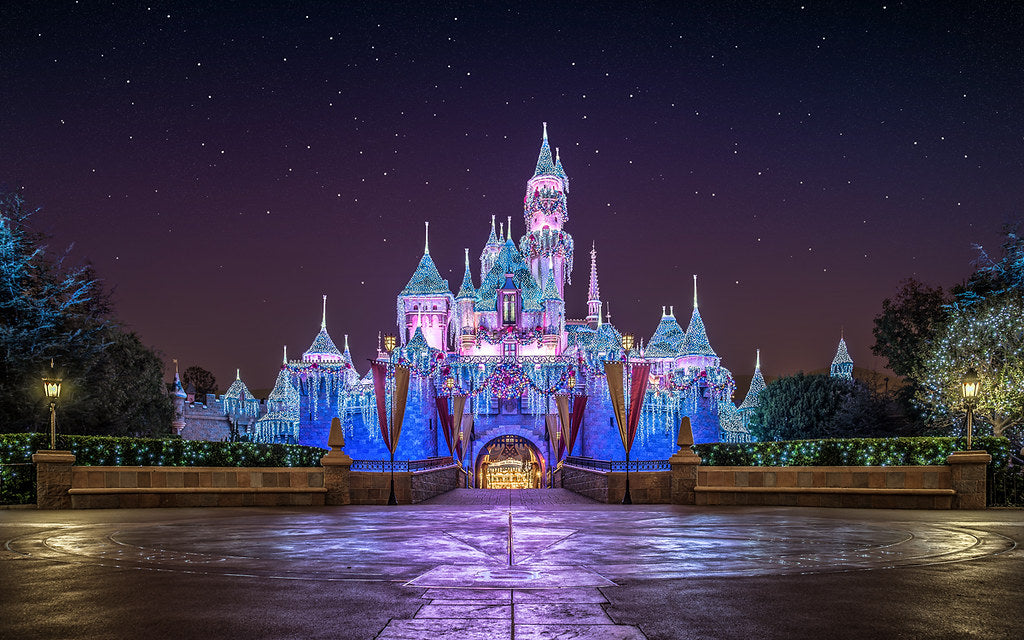 Image of Family Disney Escape from Tokyo: Private Transfer & 1-Day Park Pass