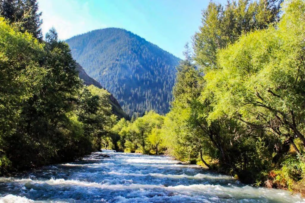 Hidden Beauty of Turgen Gorge Tour