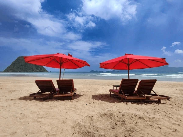 Image of [3* Hotel] Banyuwangi Nature Discovery: Savannas, Forests & Coastal Wonders