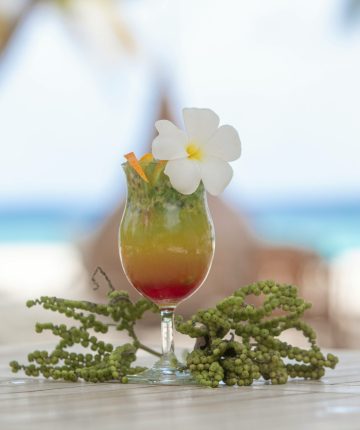 [4 Nights] Island Bliss: Serene Retreat at Furaveri -  Ocean Villa Horizon with Jacuzzi