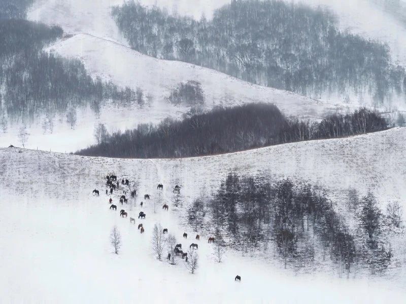 Image of Beijing Winter Wonderland Family Tour – 5 Days