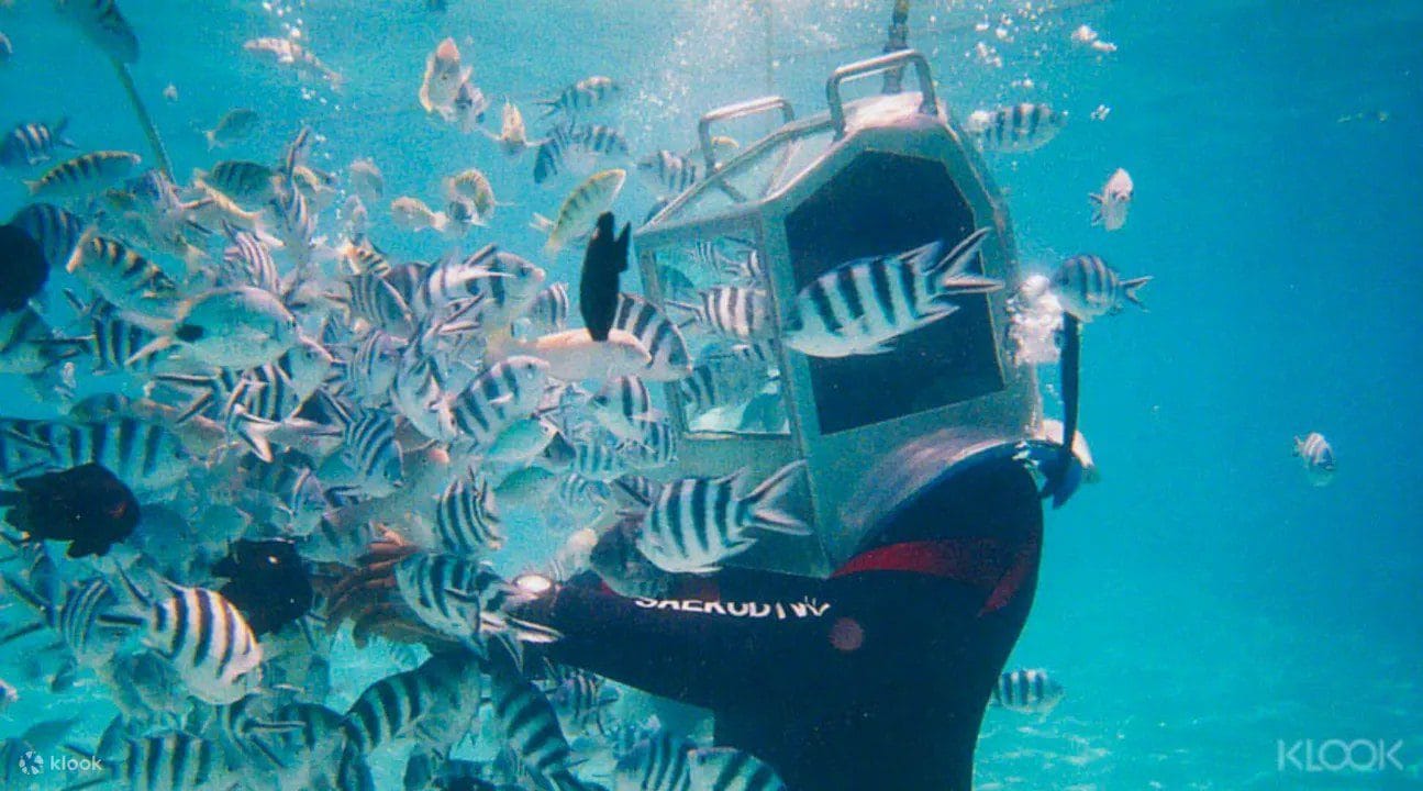 Sea Walk Mauritius at Belle Mare – A Magical Underwater Experience