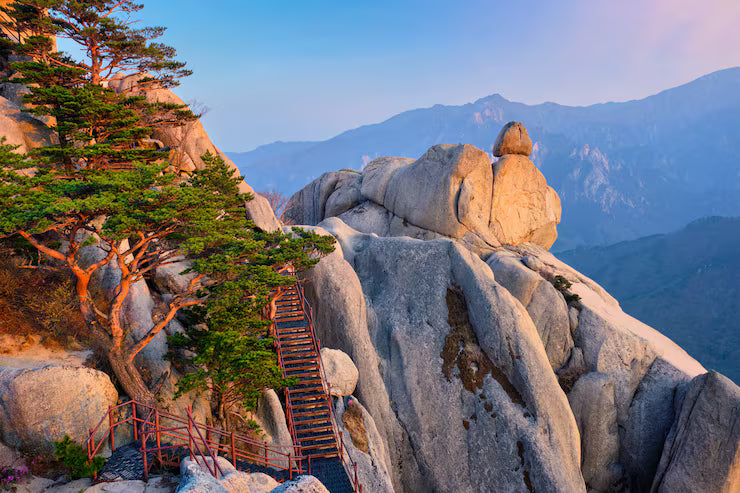 [Car & Drive Only] East Coast Breeze: From Seoul to Sokcho & Gangneung Coastal Drive (10 hrs)