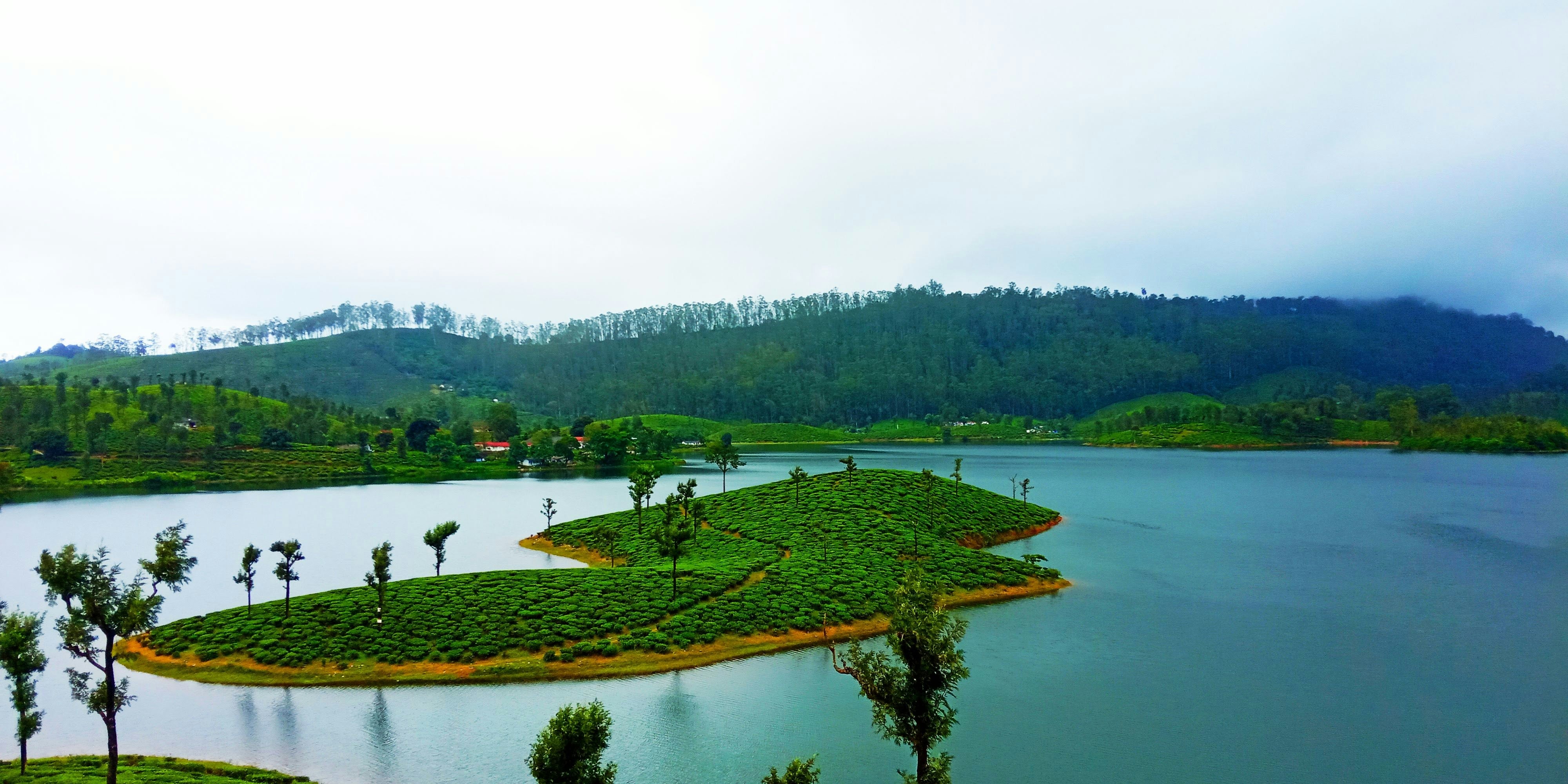 Image of 13D Sacred Tamil Nadu & Serene Kerala Backwaters Journey (4* Hotel)