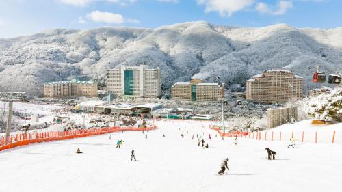 Chuncheon to Vivaldi: Scenic Lakes & Mountain Retreat — 10‑Hour with Tour Guide