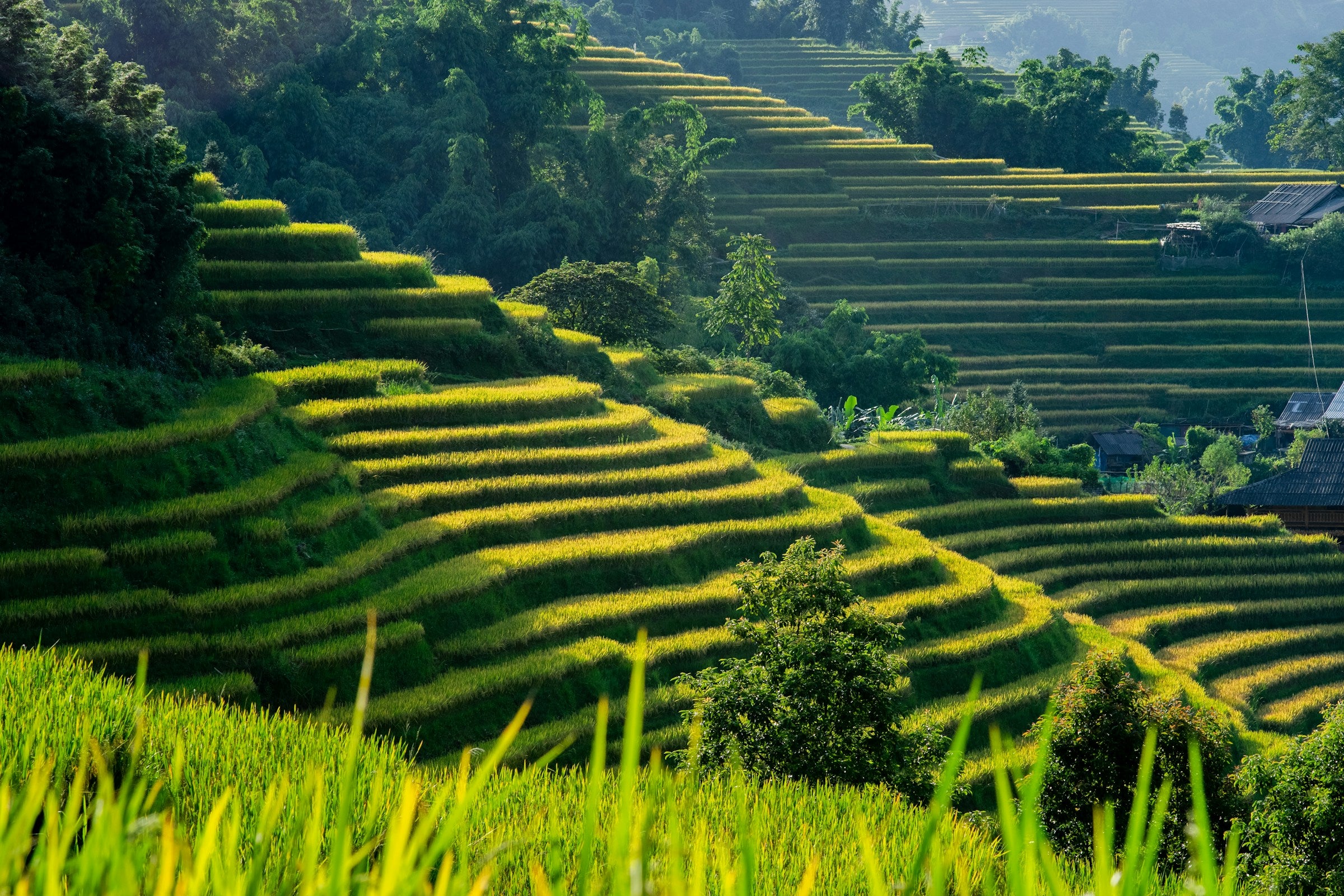 Image of 16D15N Vietnam & Cambodia Tour – Northern to Southern Highlights