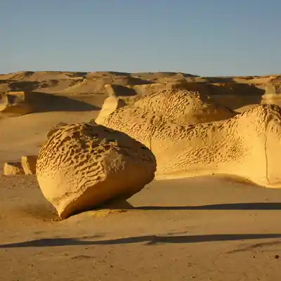 El Fayoum Day Trip from Cairo — Wadi Hitan & Wadi El Rayan