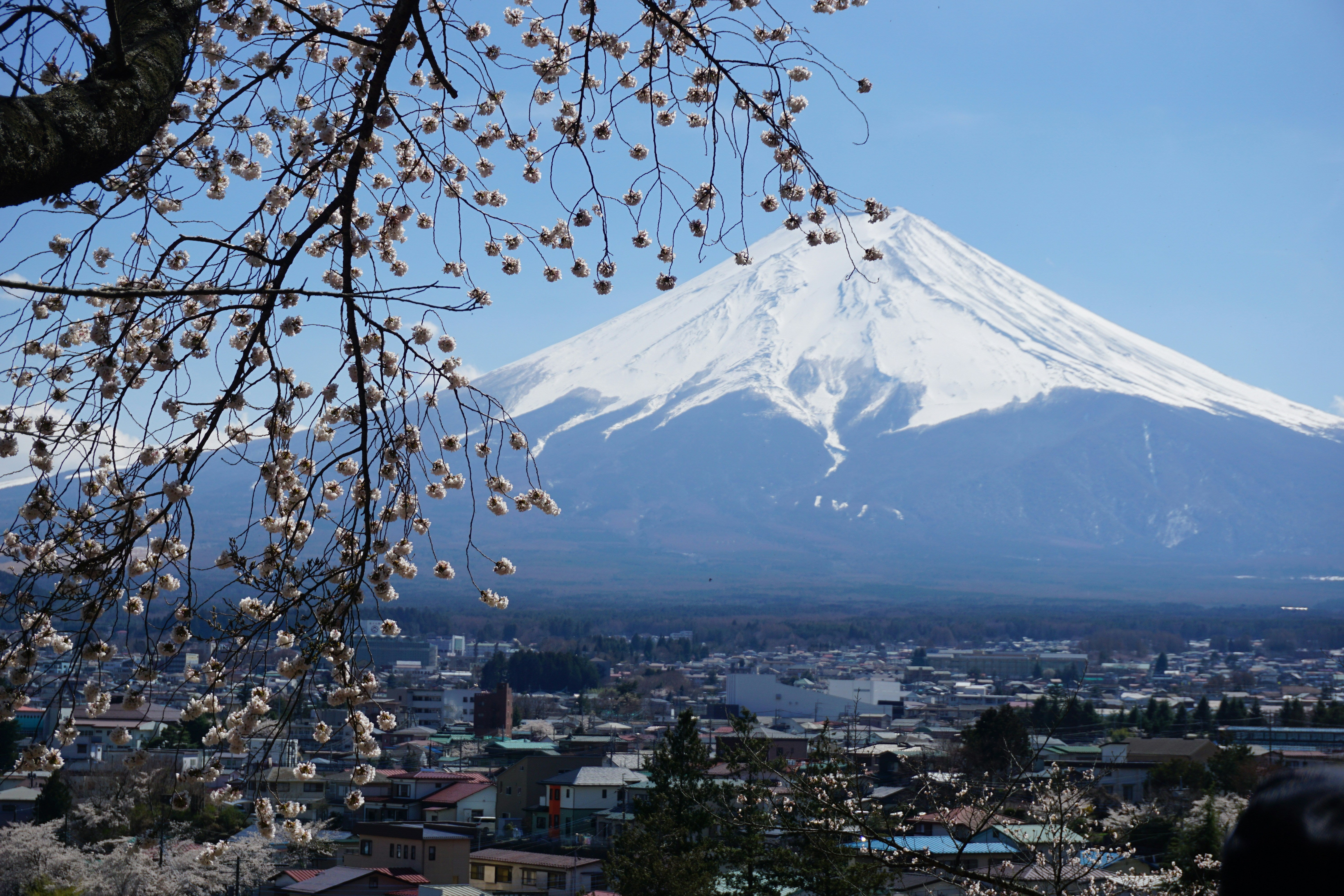 Image of Japan Golden Route Halal-Friendly Package 6D5N, Tokyo to Osaka Highlights