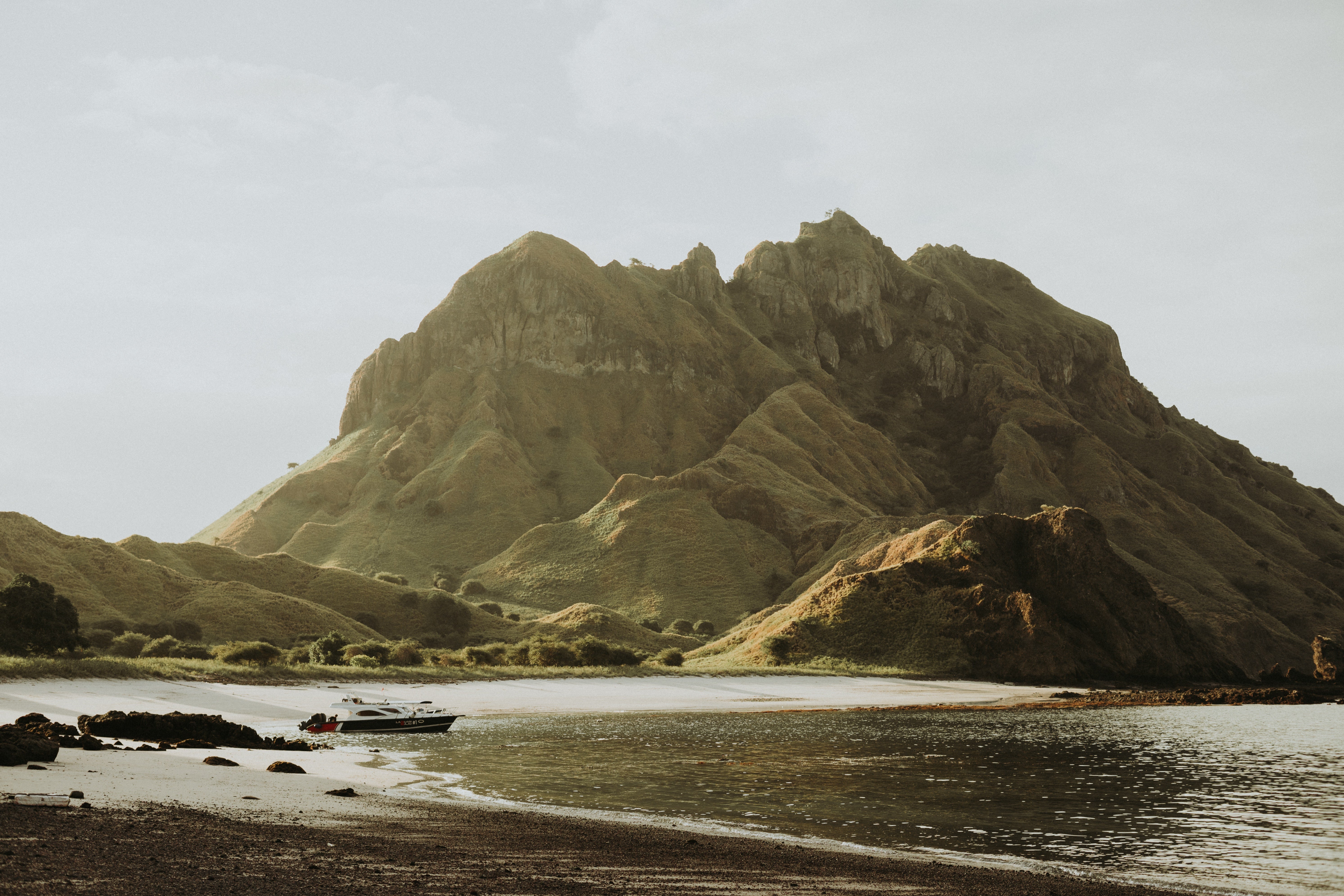 Image of Komodo Full-Day Speedboat Tour – Dragons, Pink Beach & Manta Point