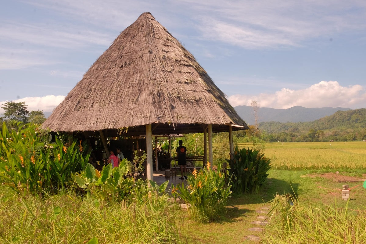 Image of Labuan Bajo Highlights Tour: Goa Rangko, Waecicu Beach & Sunset Hill