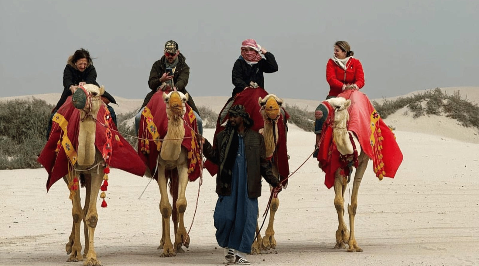 Image of Desert Express: A Quick Escape to Qatar’s Dunes & Inland Sea Wonders