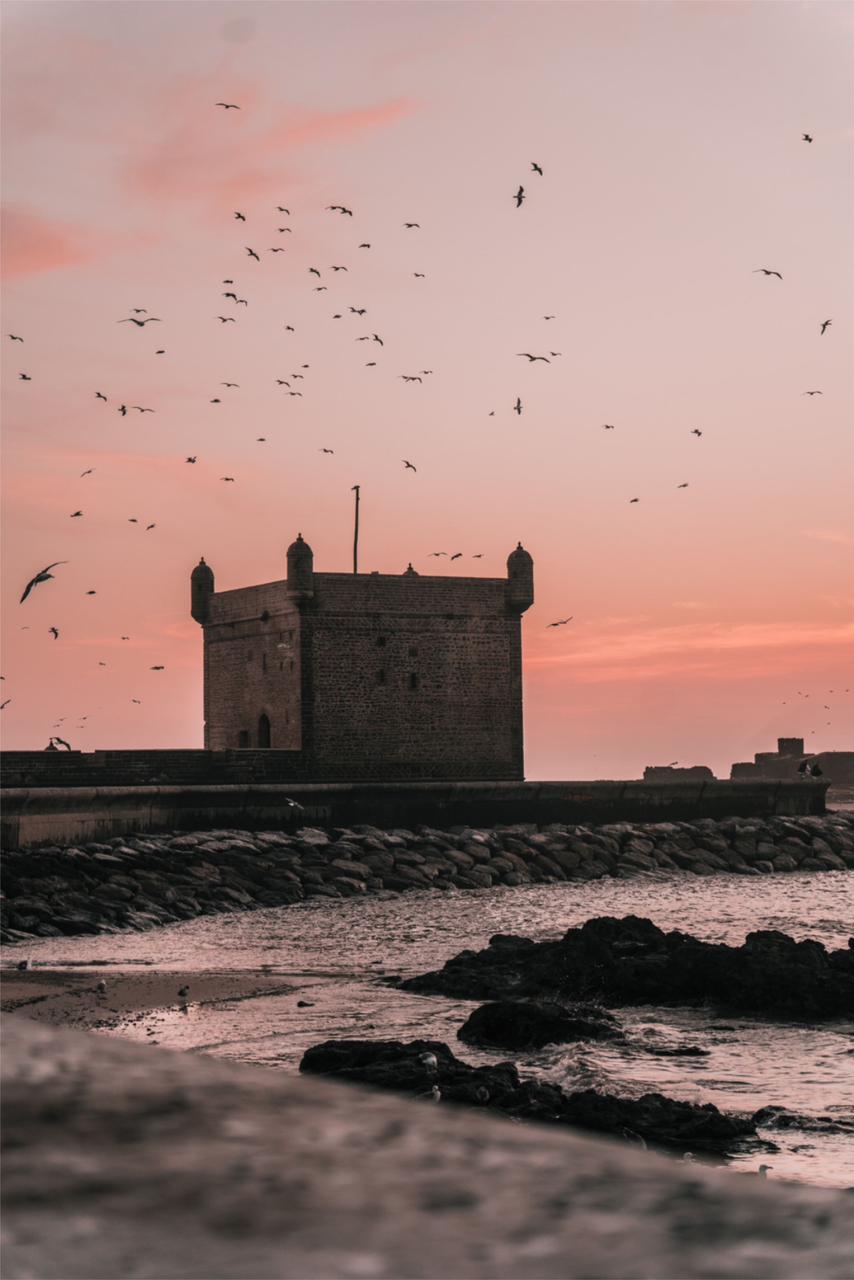 [Private] Explore Essaouira: A Day of Surf, Sand, and Souks From Marrakech