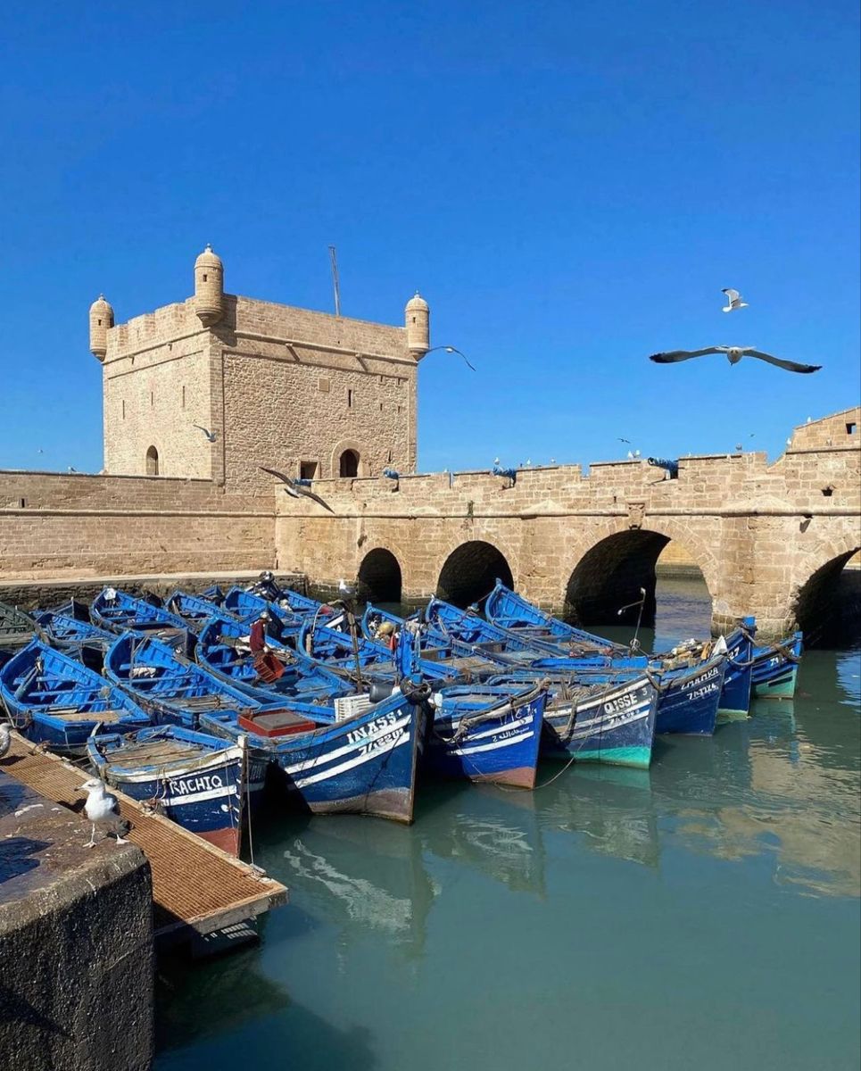 Image of [Private] Explore Essaouira: A Day of Surf, Sand, and Souks From Marrakech