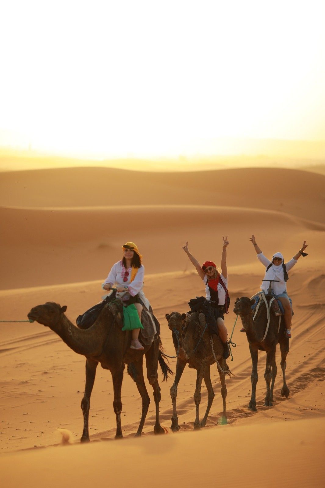 Image of Wonders of Morocco: A 15-Day Expedition through Cities, Deserts, and Coasts