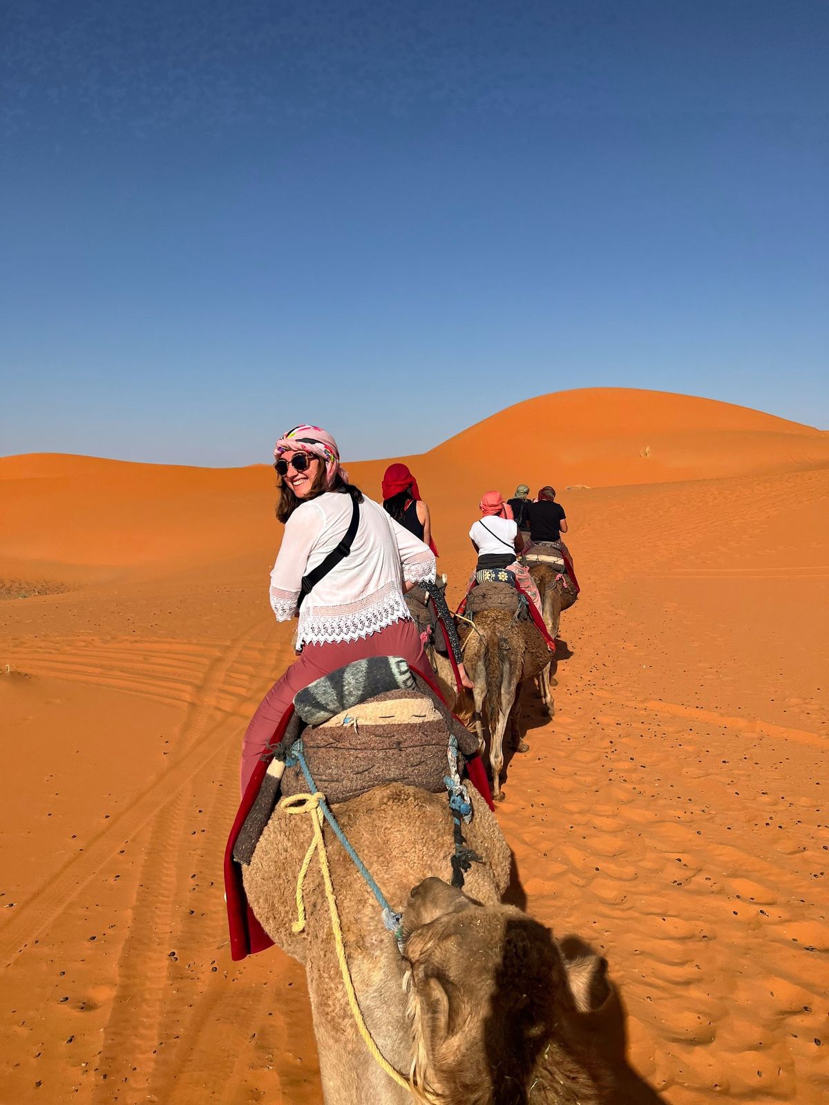 Wonders of Morocco: A 15-Day Expedition through Cities, Deserts, and Coasts