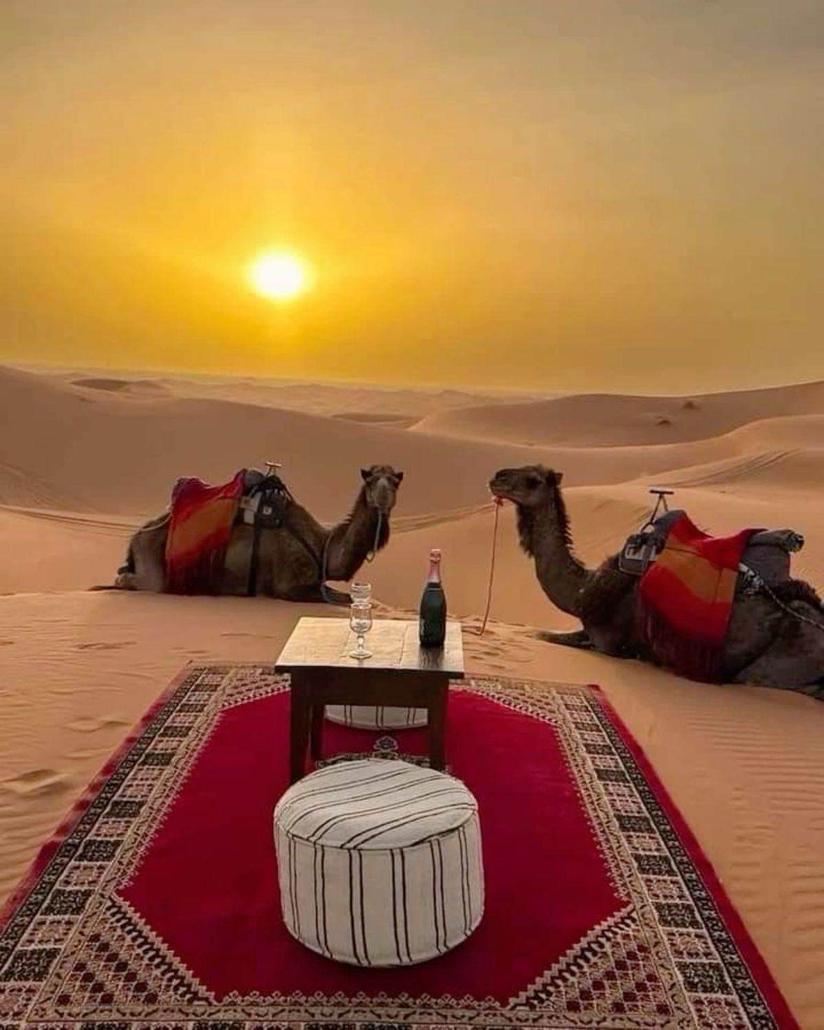 Wonders of Morocco: A 15-Day Expedition through Cities, Deserts, and Coasts