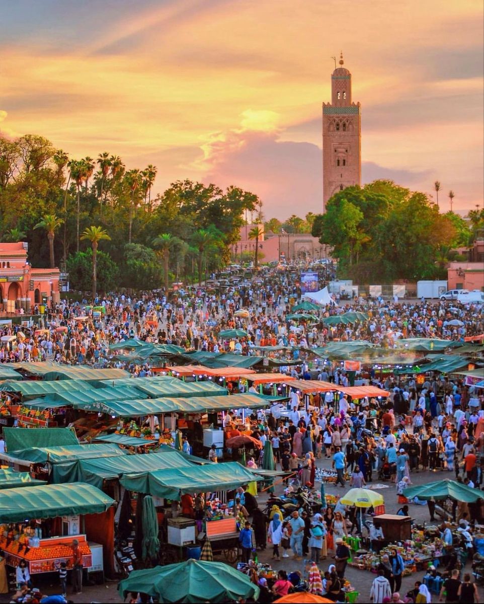 Image of Wonders of Morocco: A 15-Day Expedition through Cities, Deserts, and Coasts
