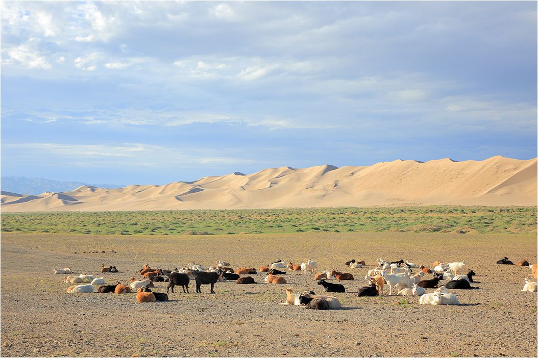 8D Spirit of the Steppe: Mongolia Gobi Desert & Nomadic Experience