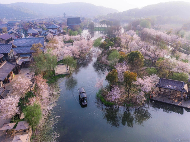 Image of 6-Day Classic East China Private Tour: A Premium Leisure Vacation