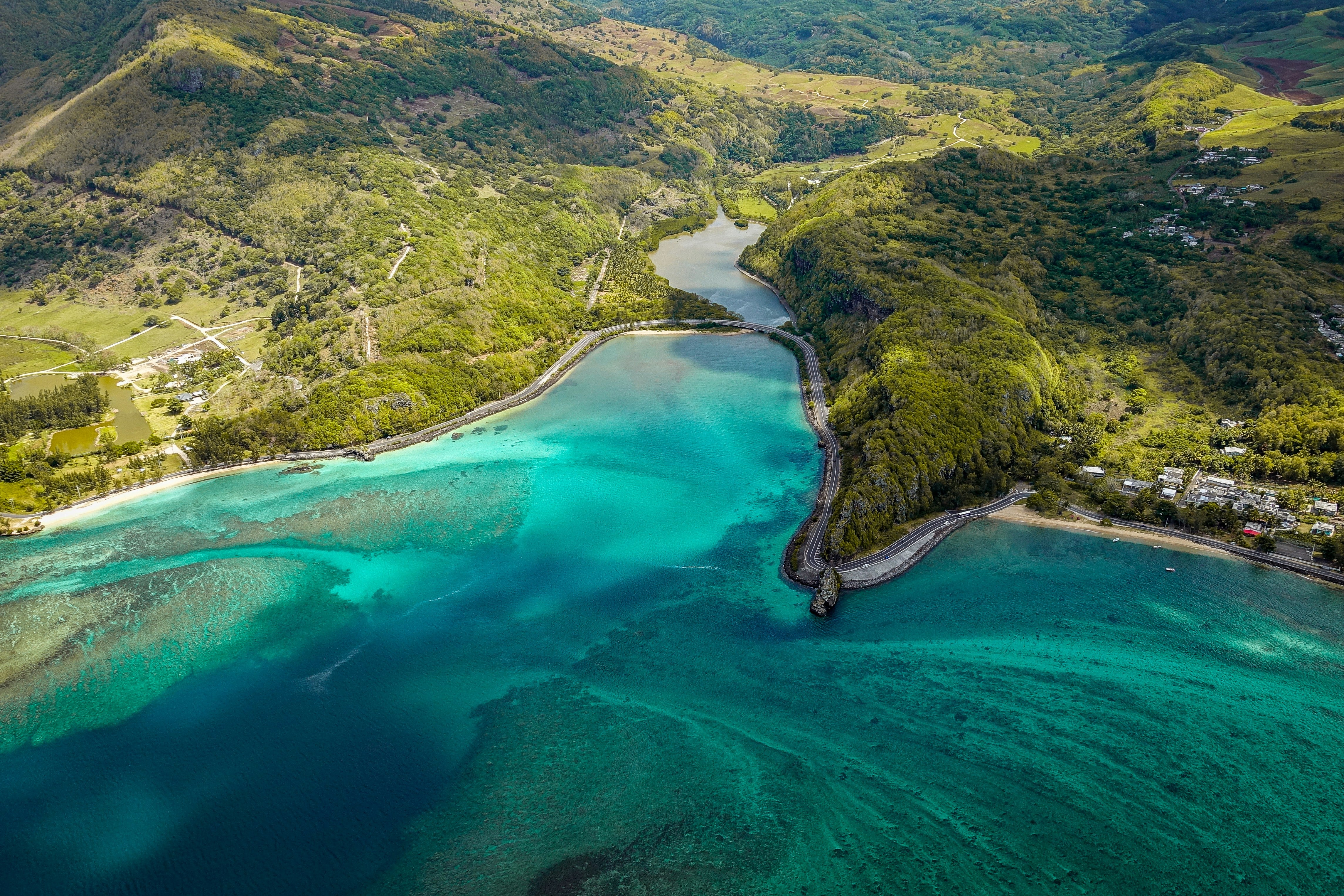 Image of Mauritius Whale & Dolphin Safari – Nature’s Most Emotional Experience