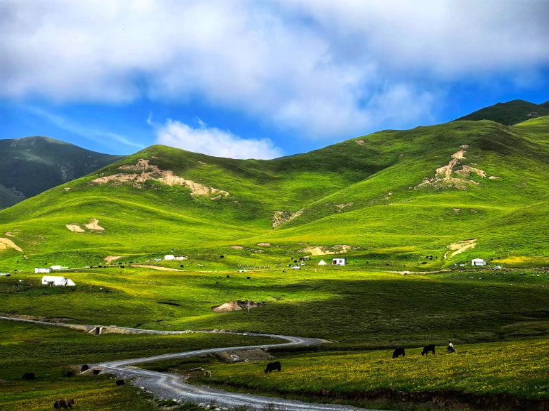 Image of 6-Day Gannan Secret Hiking & Cultural Immersion Tour