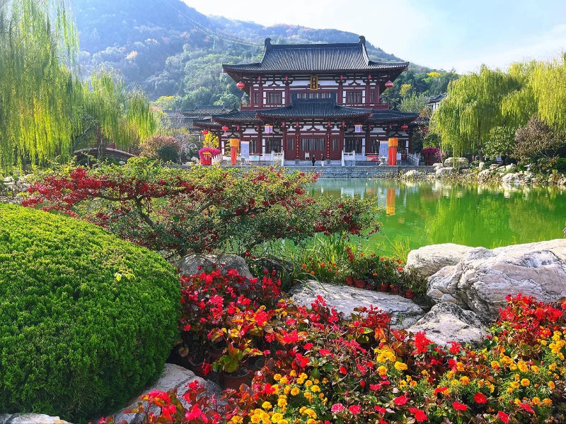 Image of Shaanxi Panorama: 5-Day Silk Road Origins Deep Exploration