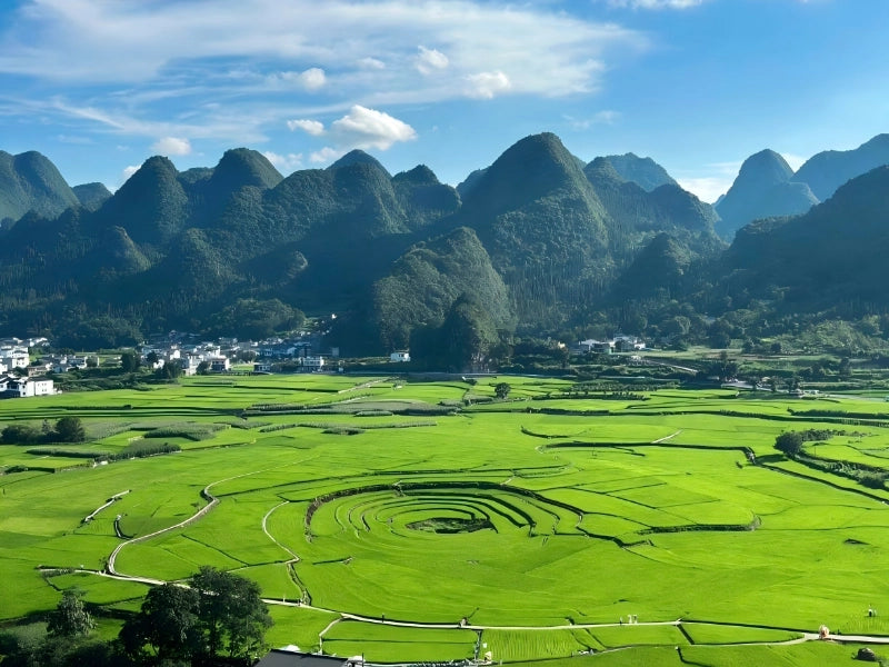 Image of Guizhou 19°C Wumeng Summer Escape 6 Days Tour