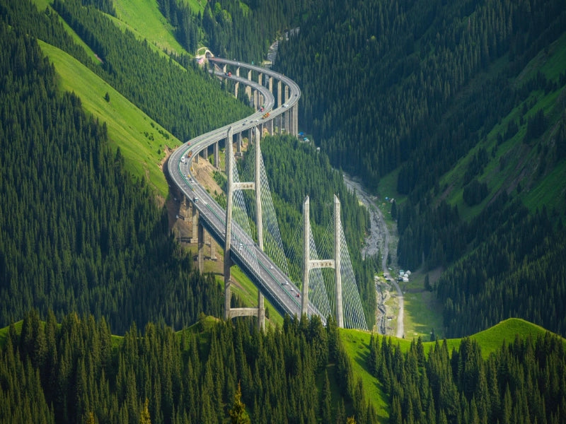 Image of Ili Snow Mountain & Alpine Grassland Nature Immersion 6-Day In-Depth Tour
