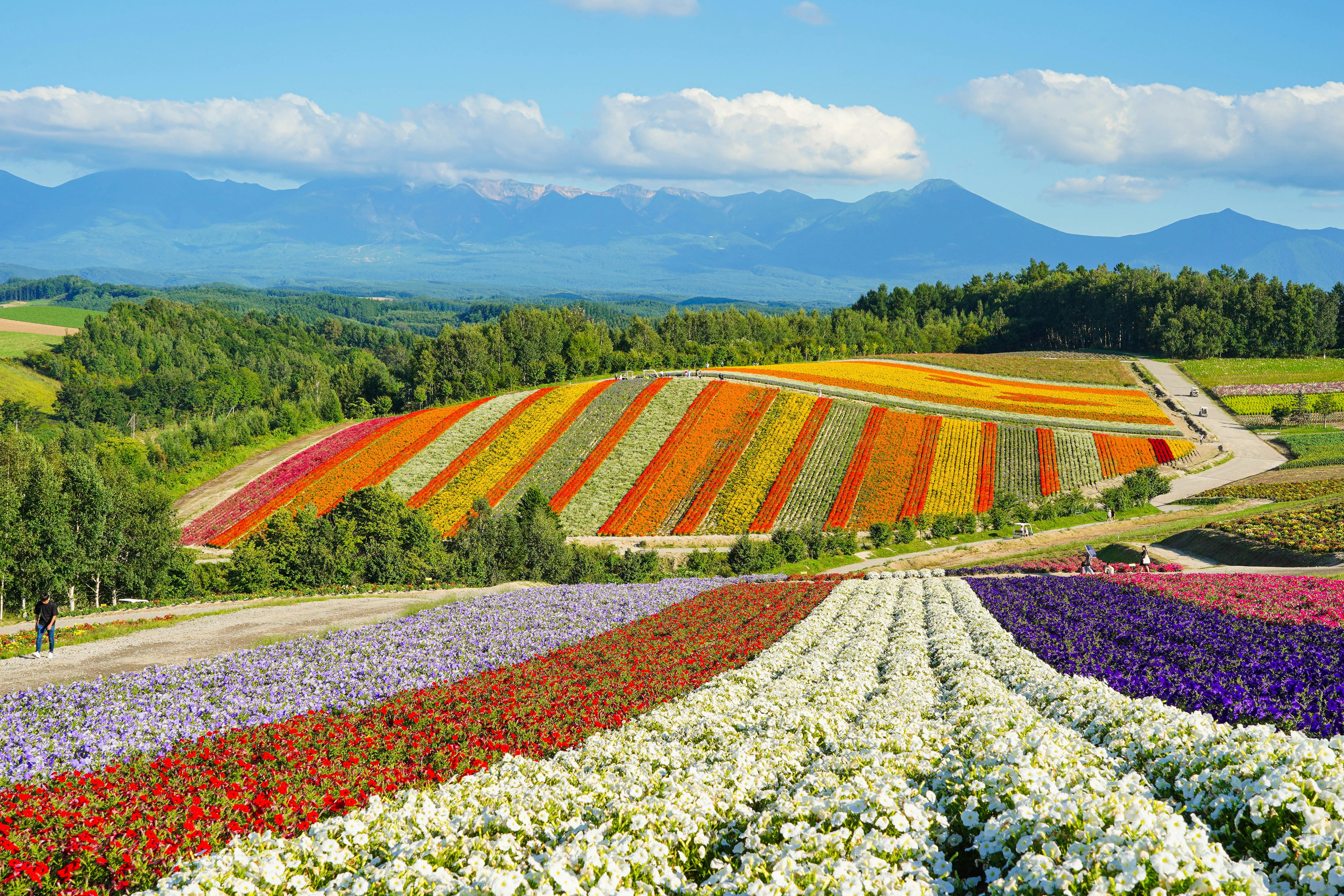 Image of Hokkaido Spring & Summer Escape: Sapporo, Otaru & Noboribetsu (4D3N)
